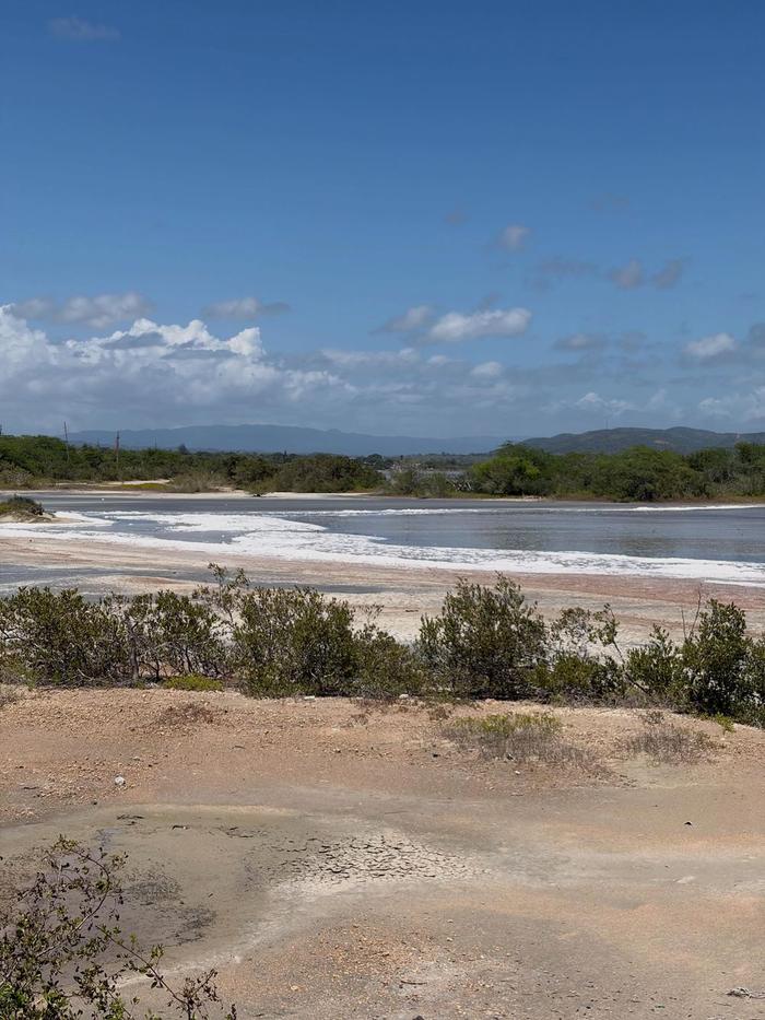 Las Salinas, Cabo Rojo